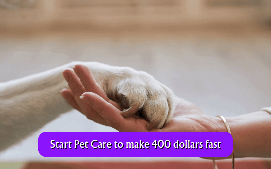 Start Pet Care to make 400 dollars fast